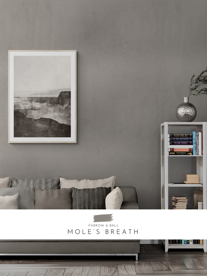 monochrome print, moody wall decor, stylish lounge, farrow and ball, grey walls, 